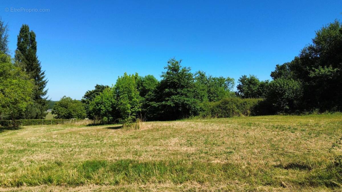 Terrain à NAVARRENX