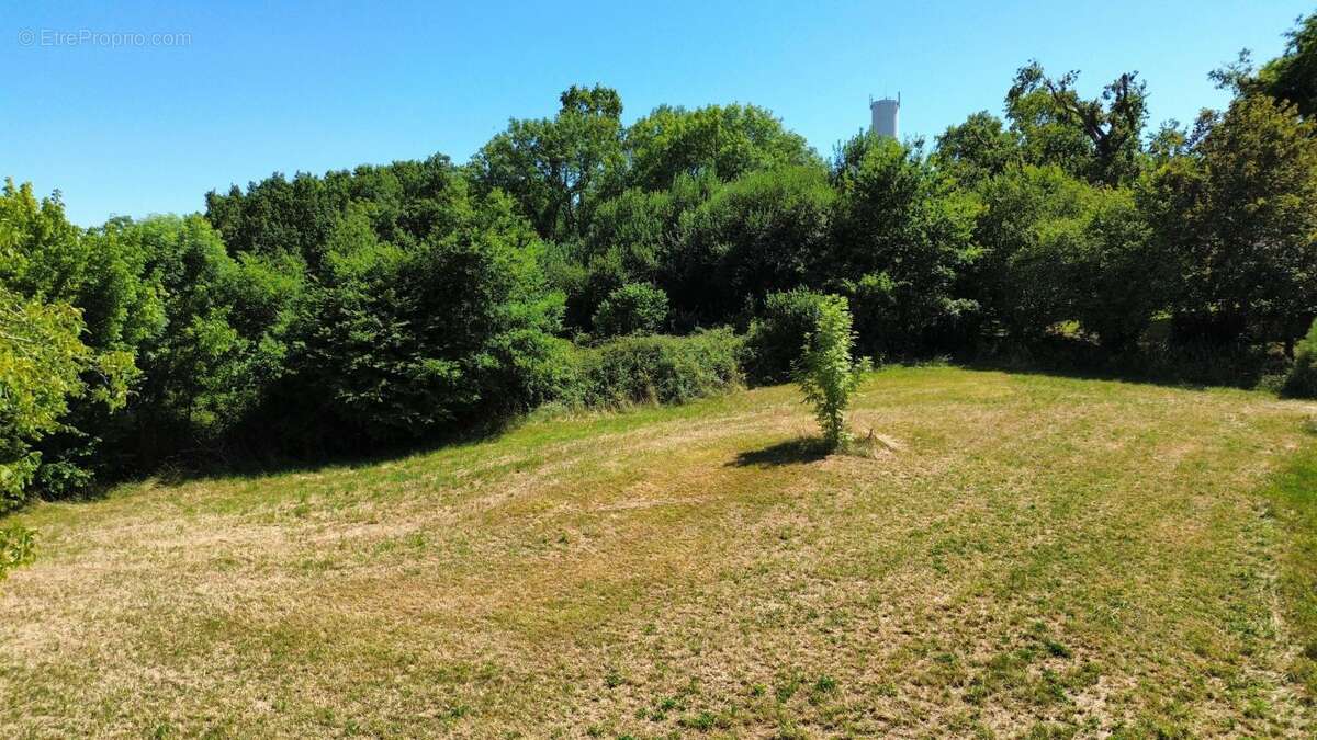 Terrain à NAVARRENX