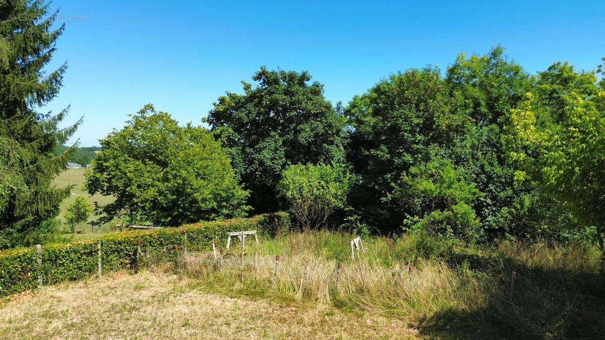 Terrain à NAVARRENX