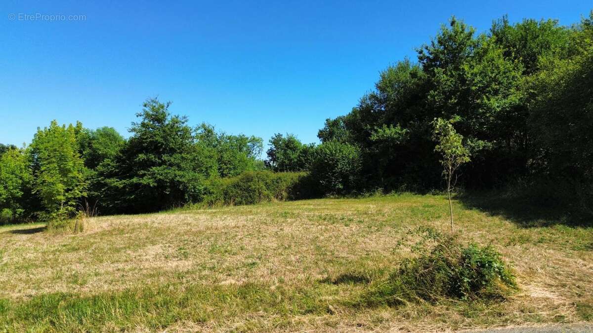 Terrain à NAVARRENX