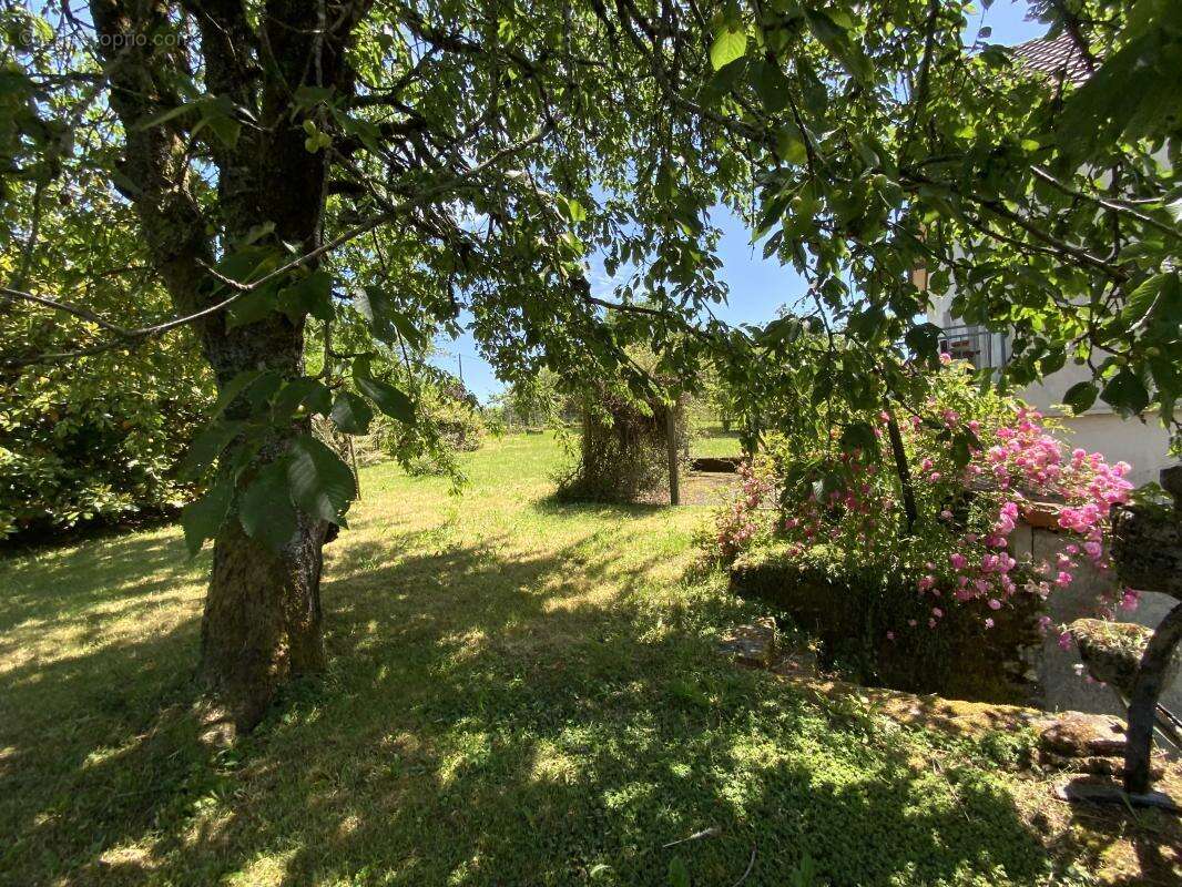 Maison à SAINT-YRIEIX-LA-PERCHE