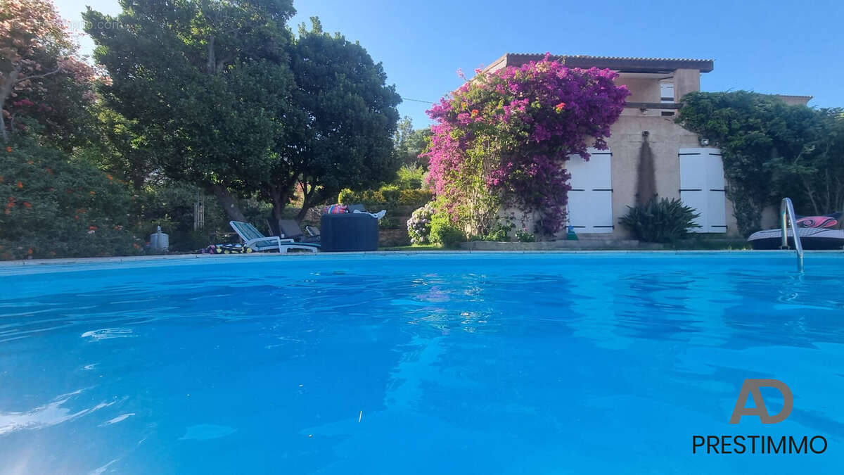 Maison à SAN-MARTINO-DI-LOTA