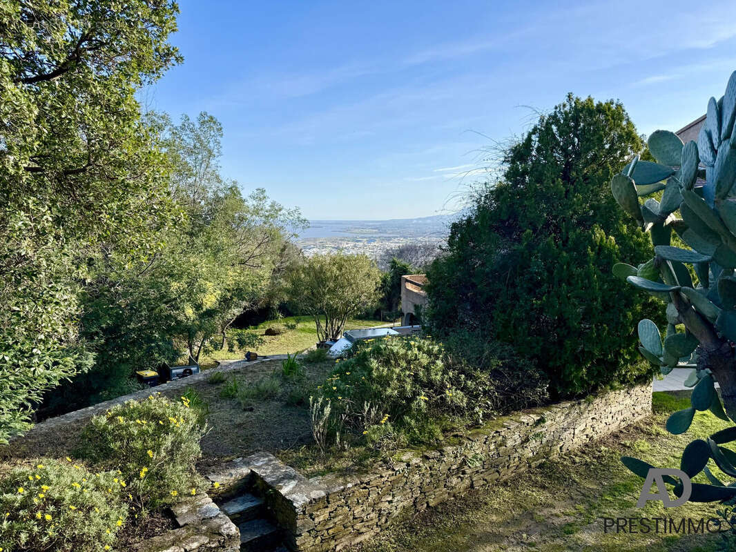 Maison à SAN-MARTINO-DI-LOTA