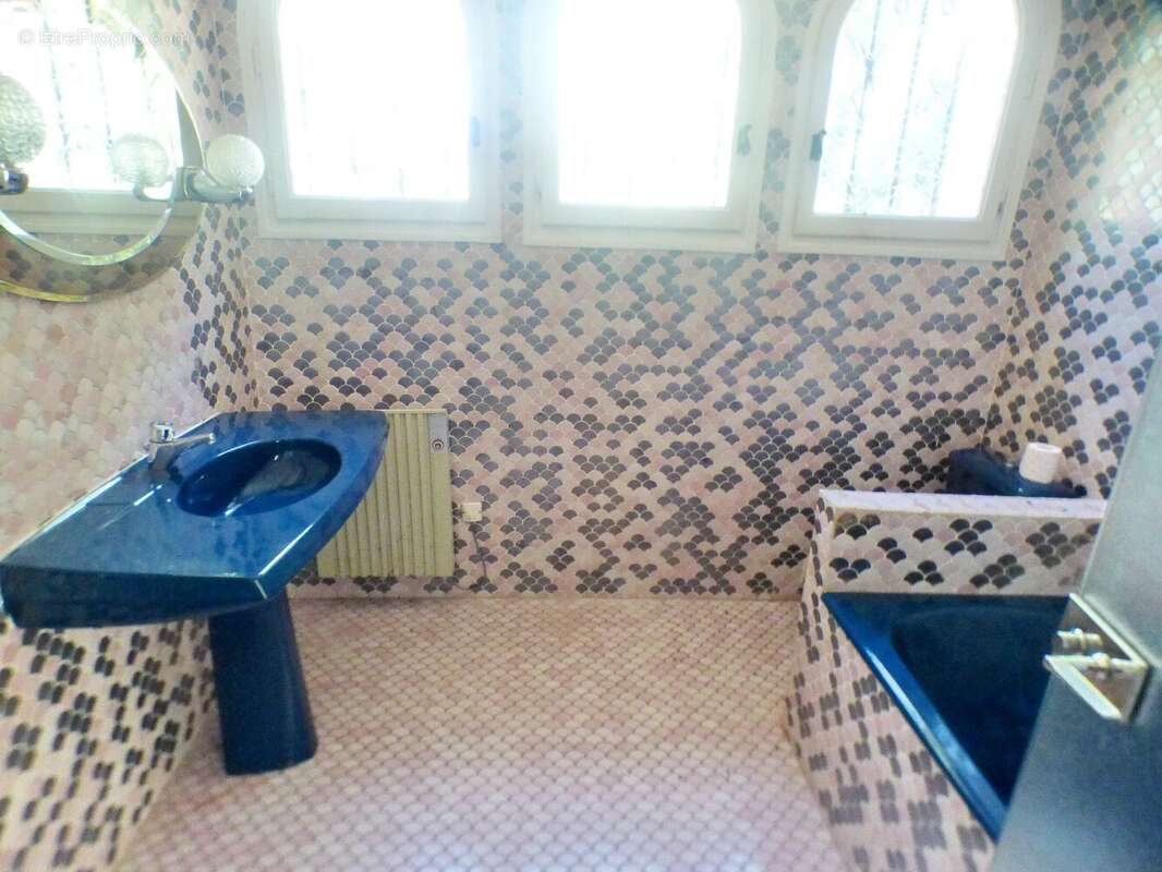 Maison à ALIGNAN-DU-VENT