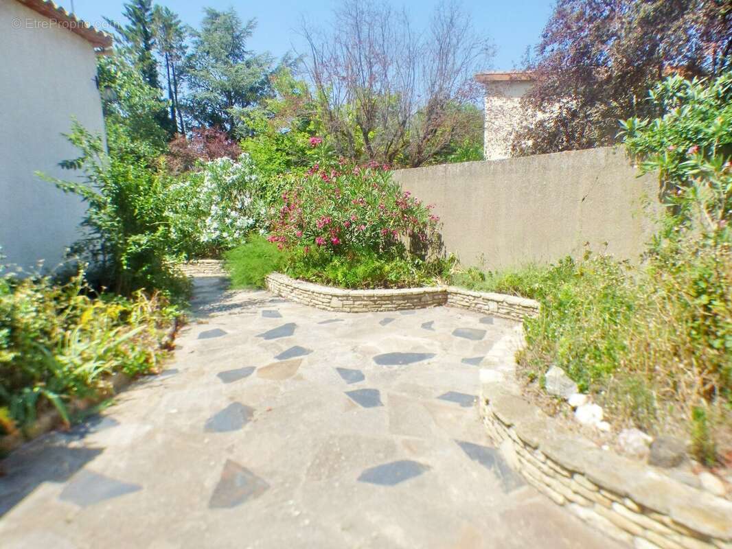 Maison à ALIGNAN-DU-VENT