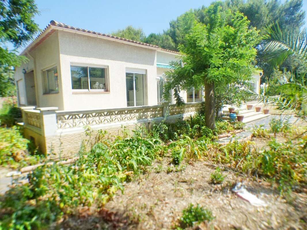 Maison à ALIGNAN-DU-VENT