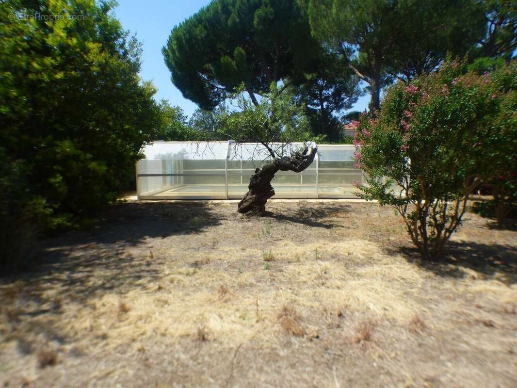 Maison à ALIGNAN-DU-VENT