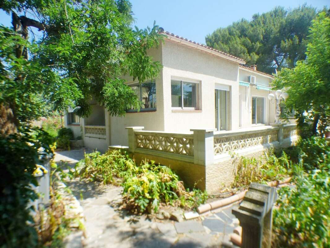 Maison à ALIGNAN-DU-VENT