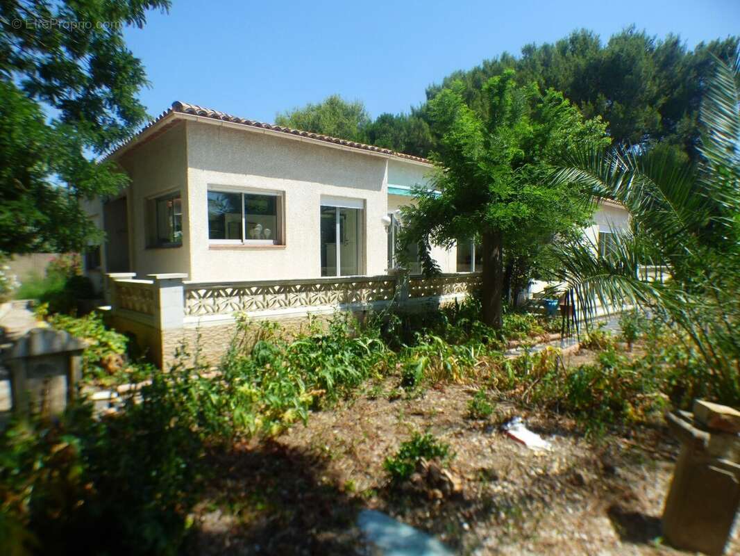 Maison à ALIGNAN-DU-VENT