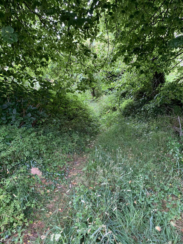 Maison à LA POTERIE-CAP-D&#039;ANTIFER