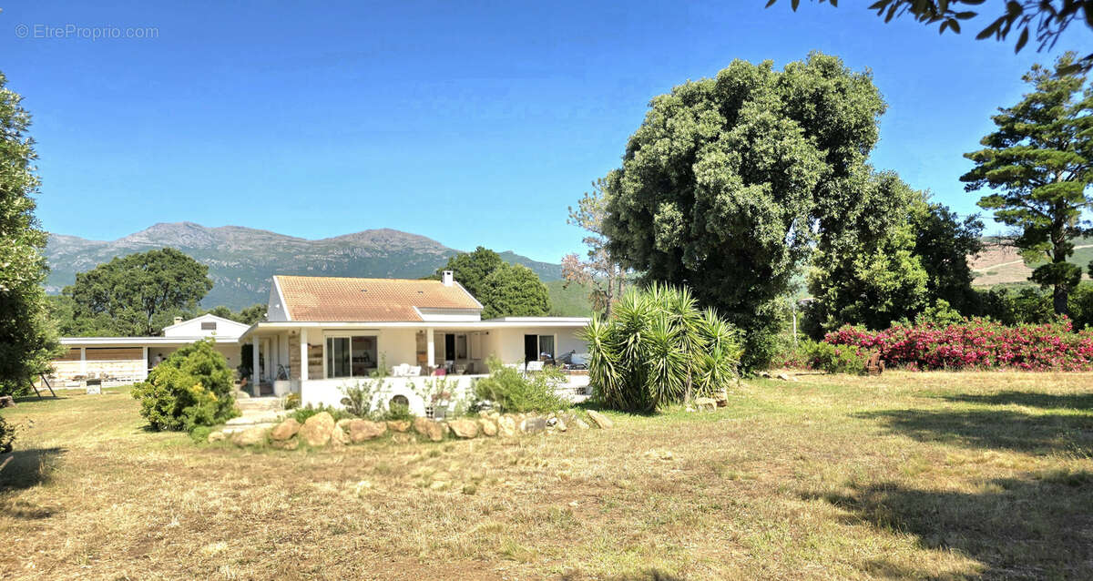 Maison à PIETRACORBARA