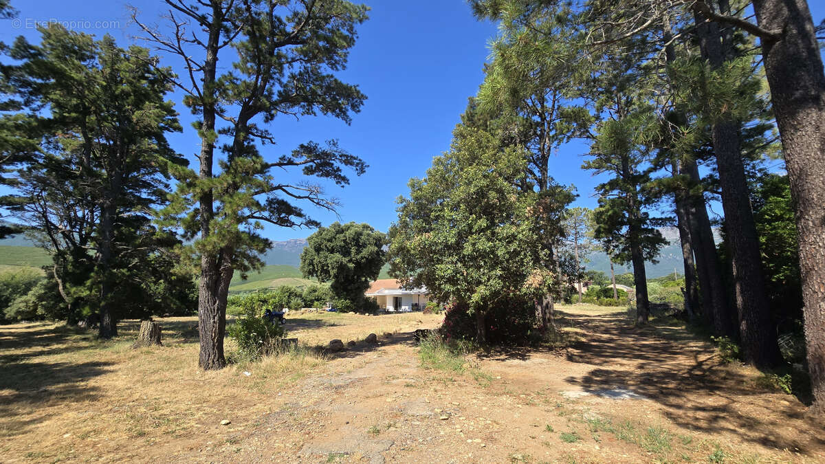 Maison à PIETRACORBARA