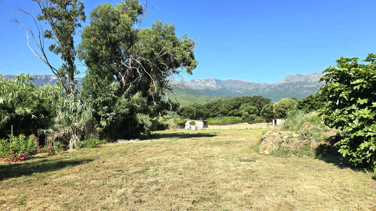 Maison à PIETRACORBARA