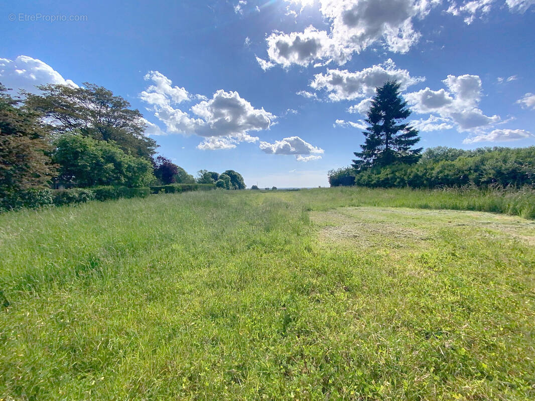 Terrain à ESTREES-LES-CRECY