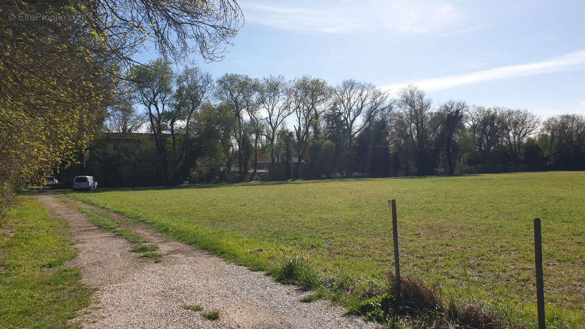 Maison à FONTVIEILLE