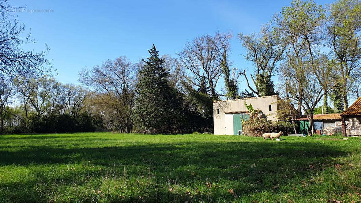 Maison à FONTVIEILLE