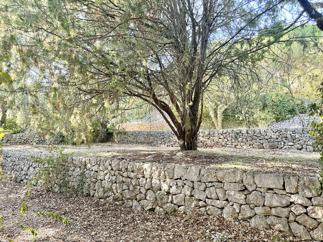 Maison à SAINT-CEZAIRE-SUR-SIAGNE