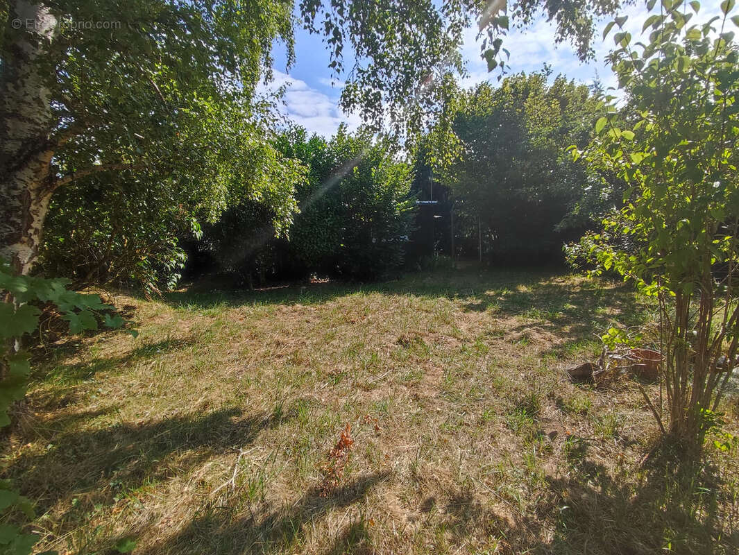 Terrain à BEAULIEU-SUR-LOIRE