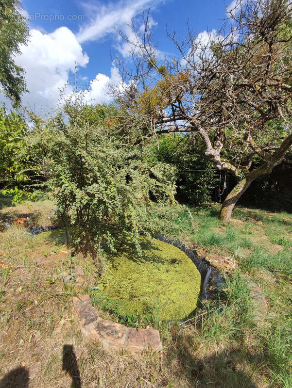 Terrain à BEAULIEU-SUR-LOIRE