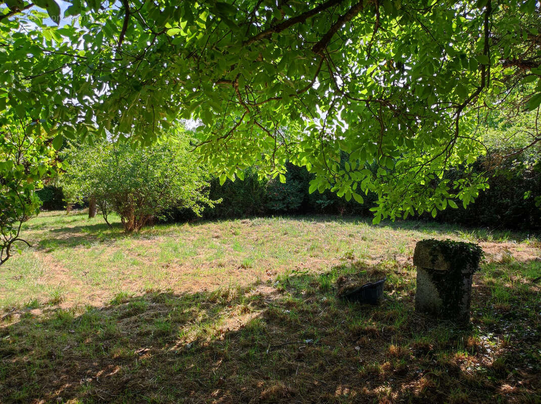Terrain à BEAULIEU-SUR-LOIRE