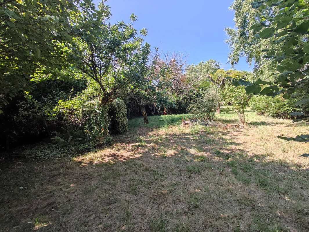 Terrain à BEAULIEU-SUR-LOIRE