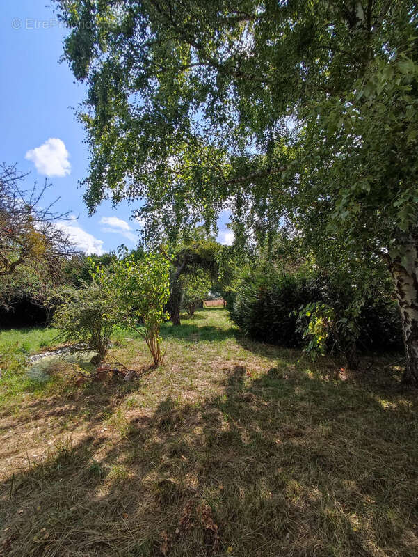 Terrain à BEAULIEU-SUR-LOIRE
