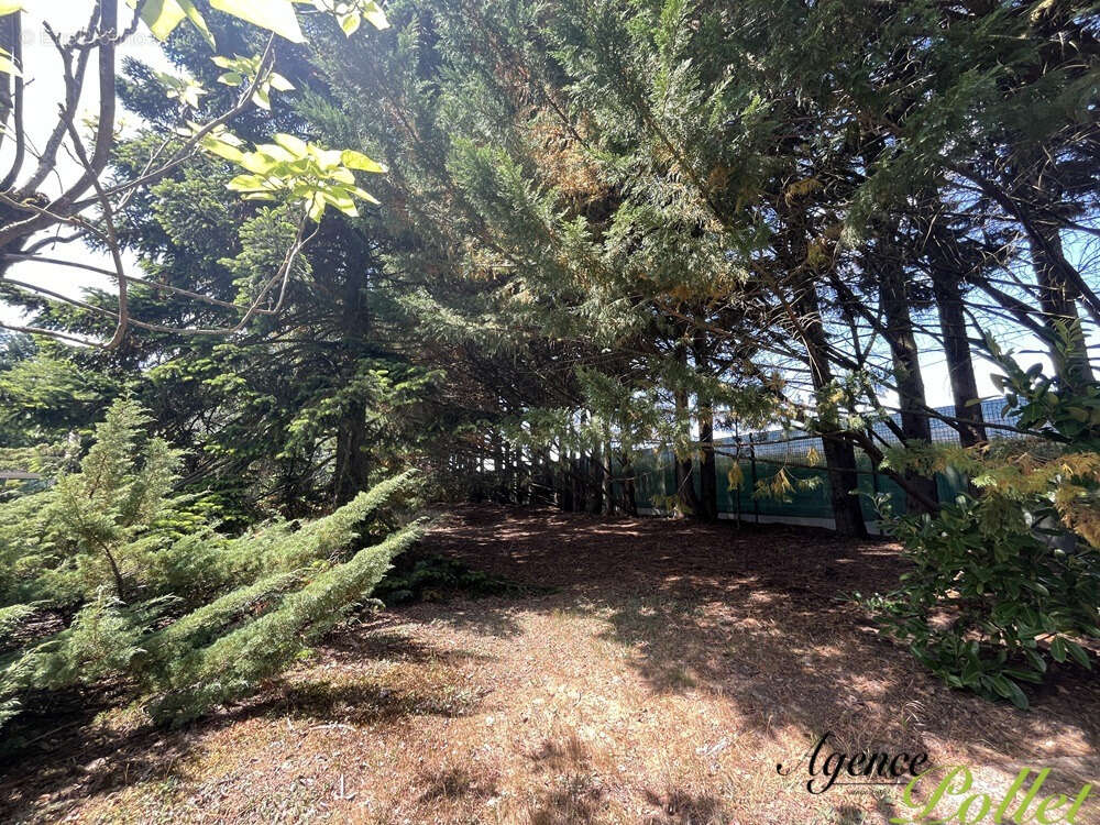 Maison à AUBIGNY-SUR-NERE