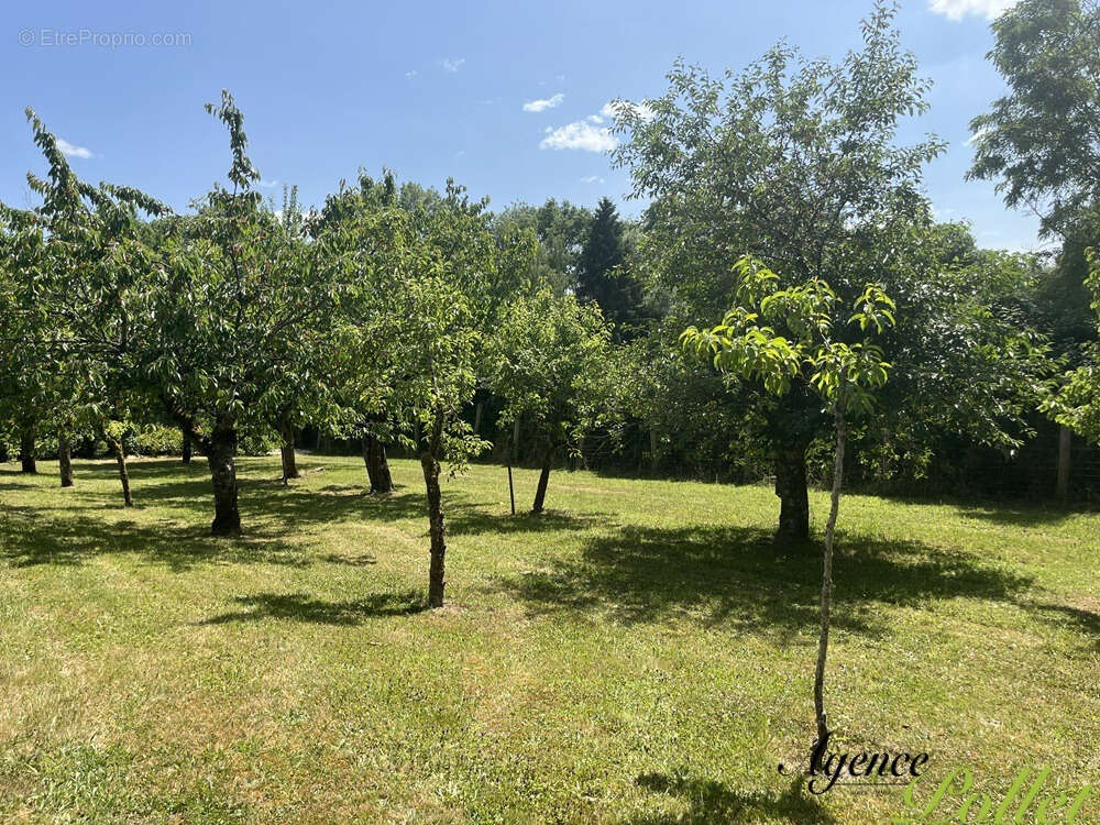 Maison à AUBIGNY-SUR-NERE
