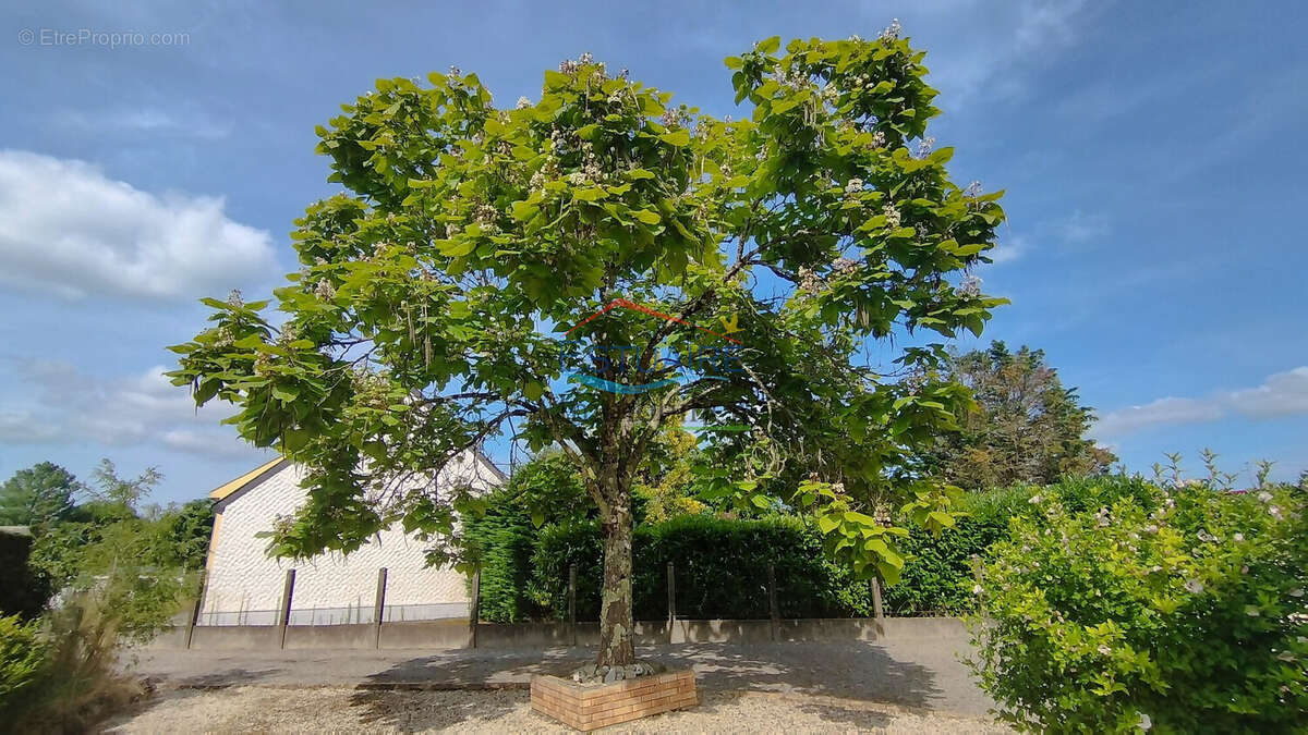 Maison à SAINT-ETIENNE-DE-MONTLUC
