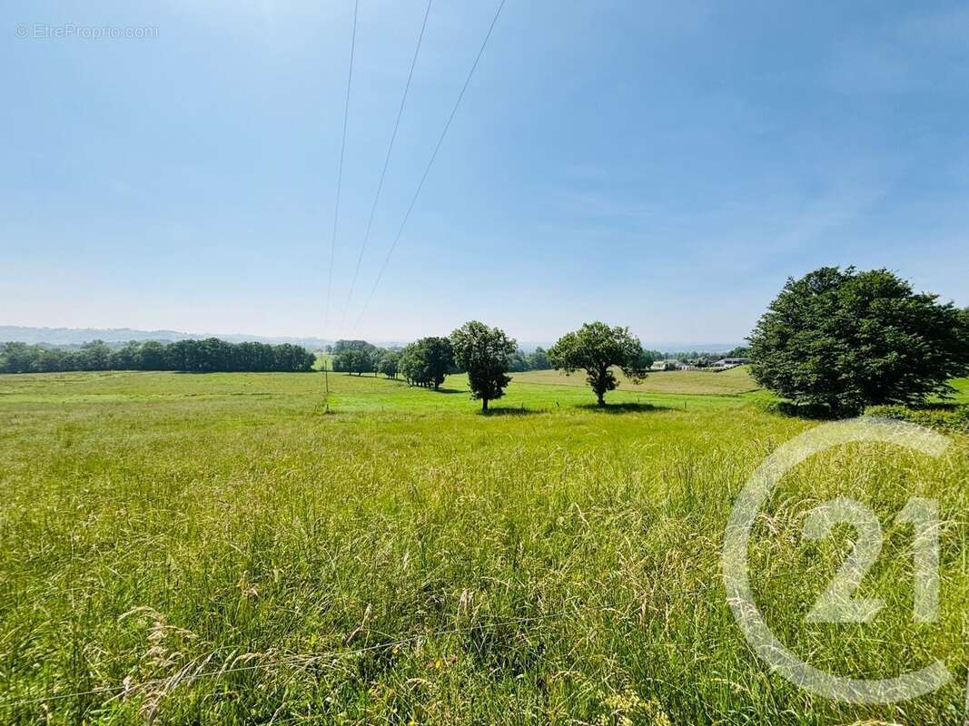 Terrain à CRANDELLES