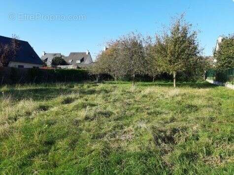 Terrain à LA CHAPELLE-THOUARAULT