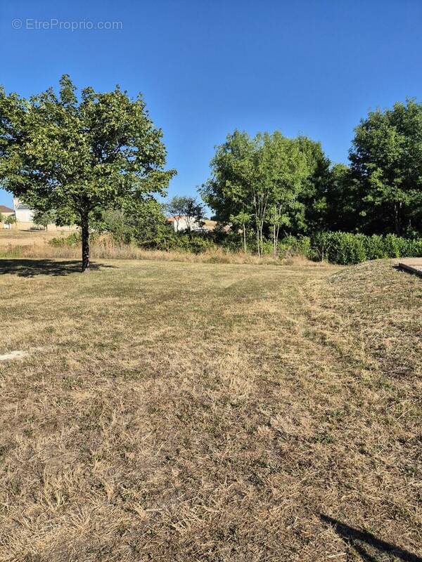 Terrain à CHAMPNIERS