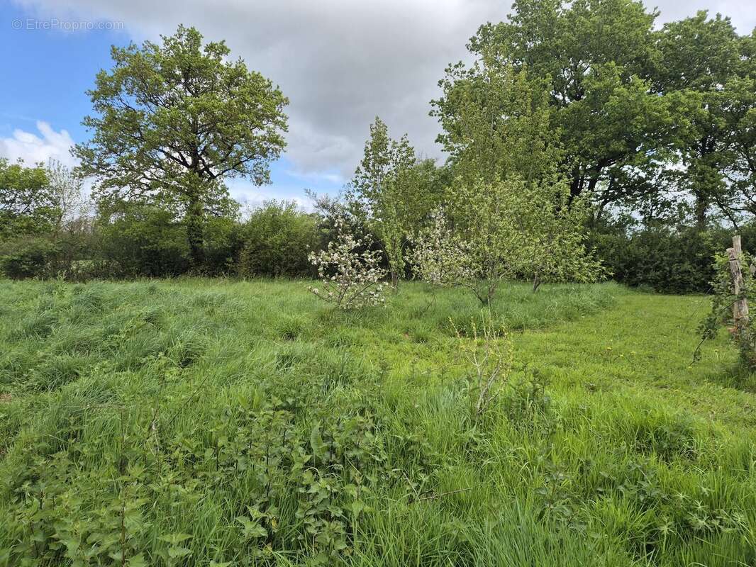 Terrain à GROSBREUIL