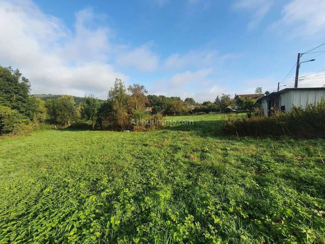 Terrain à THORIGNY-SUR-MARNE