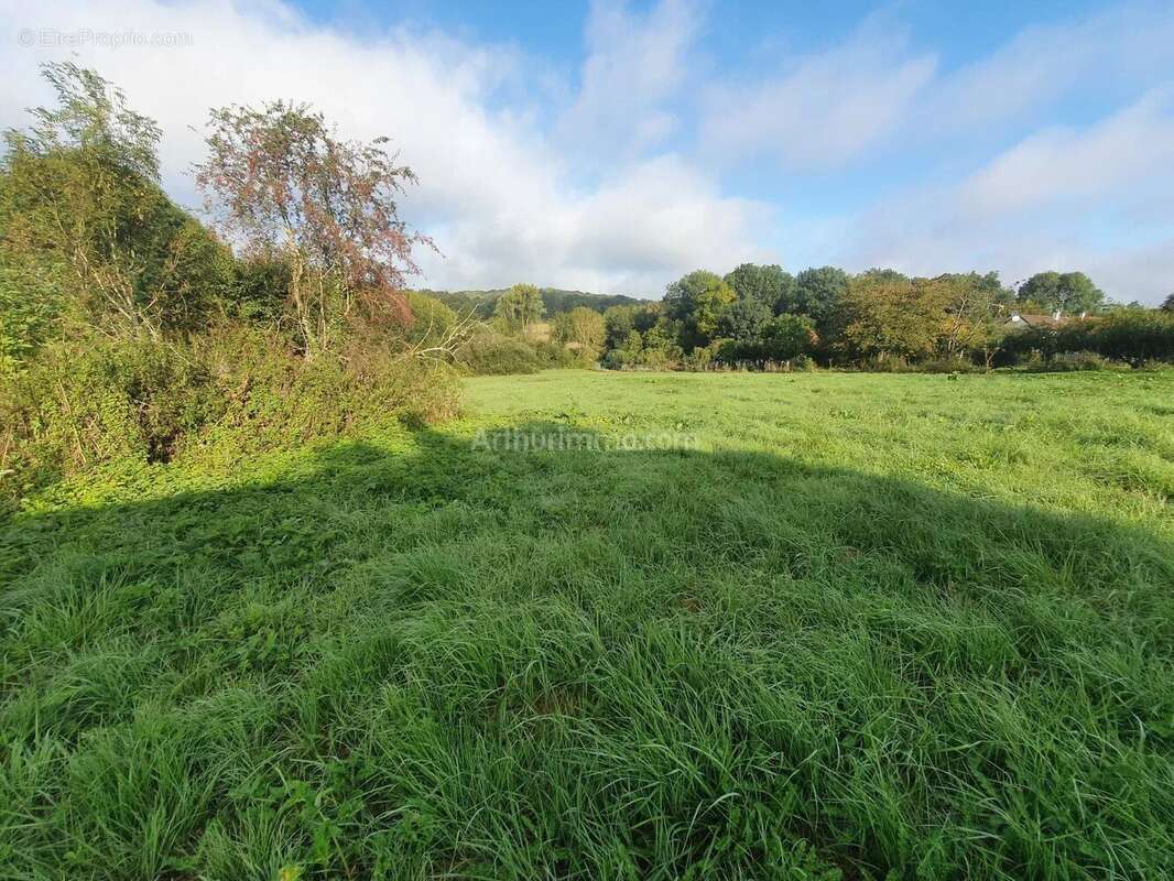 Terrain à THORIGNY-SUR-MARNE