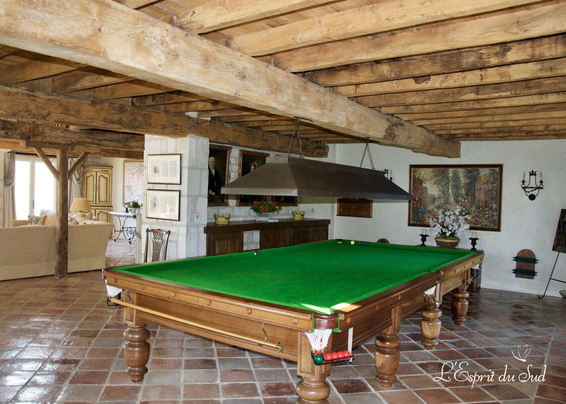Salle de billard - Maison à CASTELNAU-DE-MONTMIRAL
