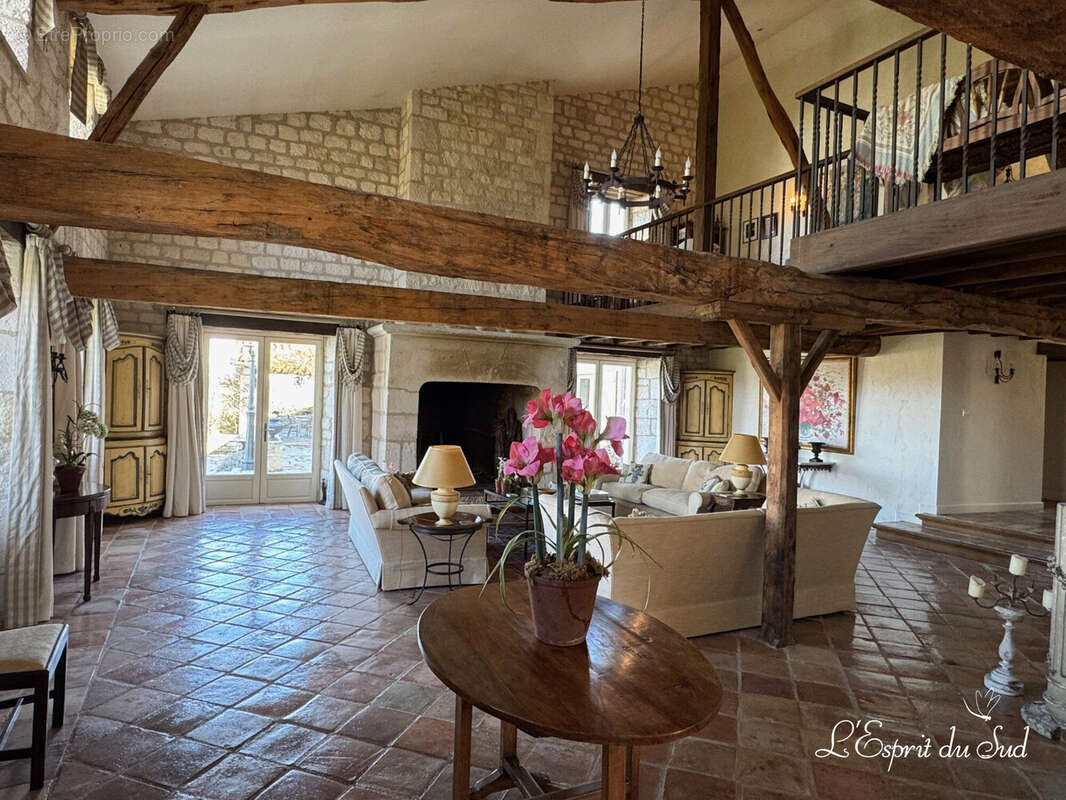 Salon principale - Maison à CASTELNAU-DE-MONTMIRAL