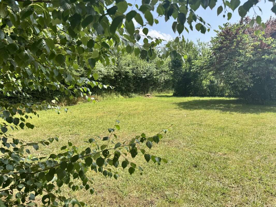 Maison à SAINT-LEOPARDIN-D'AUGY