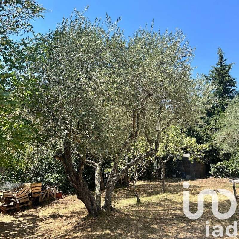 Photo 2 - Terrain à SIGNES