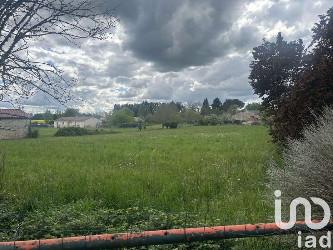Photo 2 - Terrain à CHAZELLES