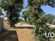 Photo 1 - Terrain à LA TOUR-DE-SALVAGNY