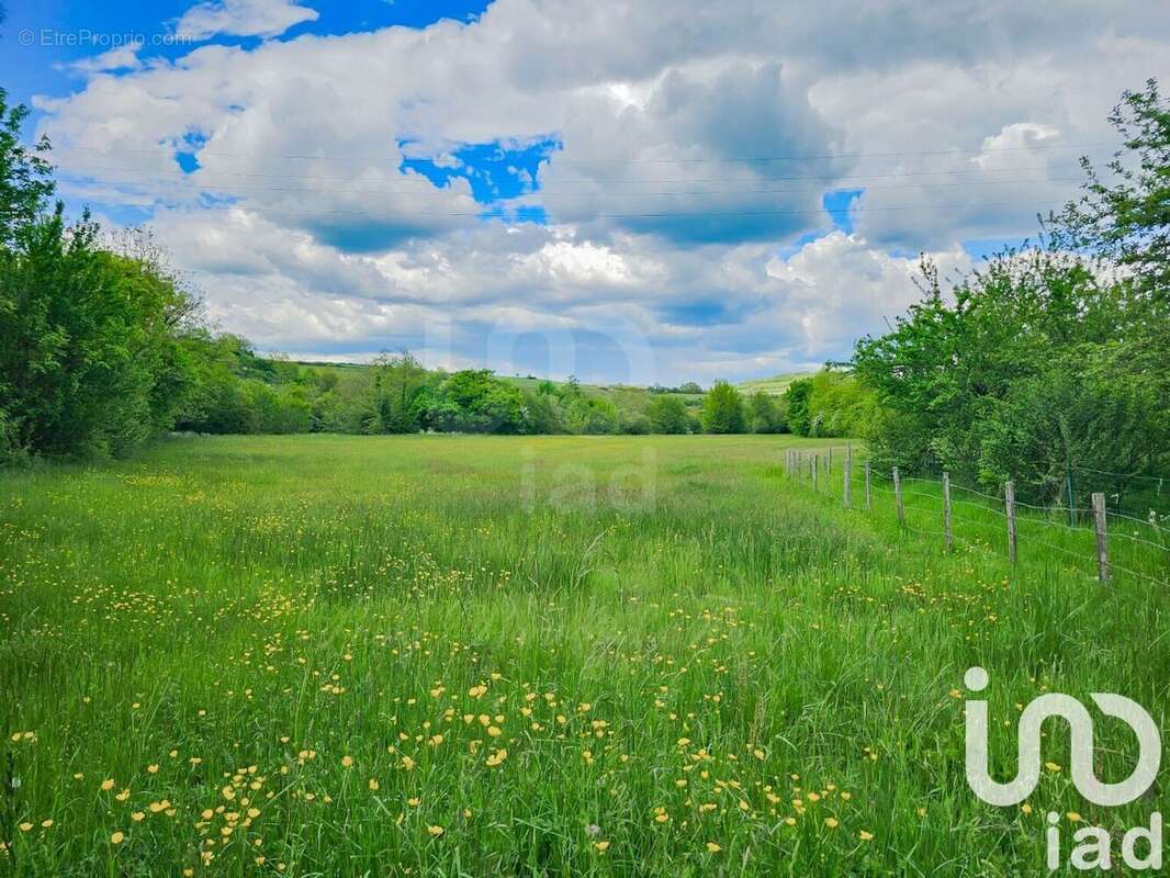 Photo 9 - Maison à GAILLAC-D&#039;AVEYRON
