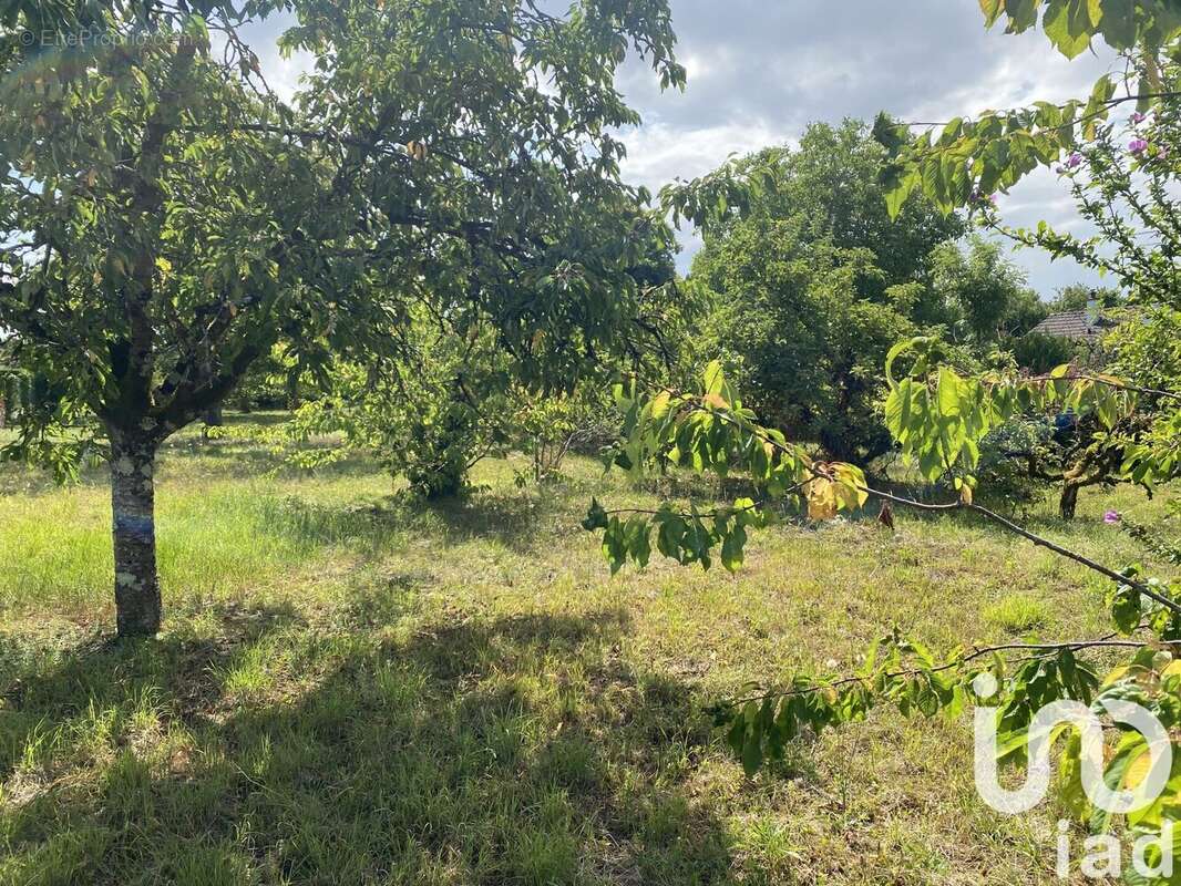 Photo 2 - Terrain à MONTIGNY-SUR-LOING