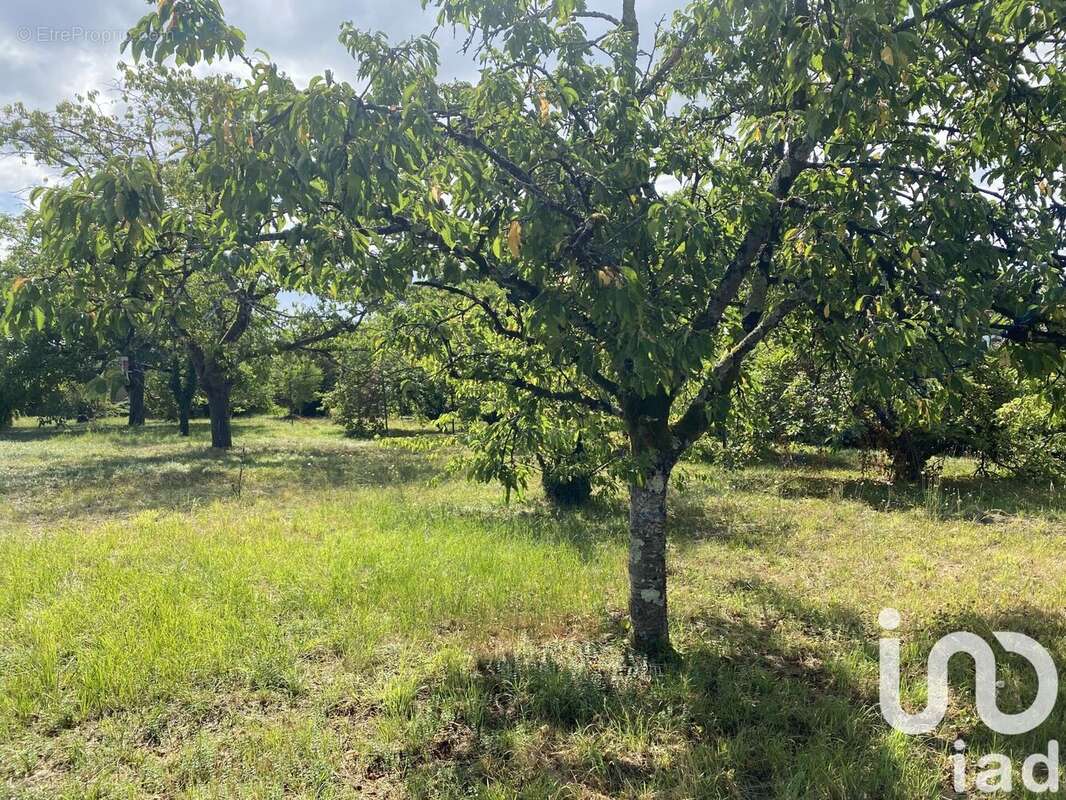 Photo 3 - Terrain à MONTIGNY-SUR-LOING