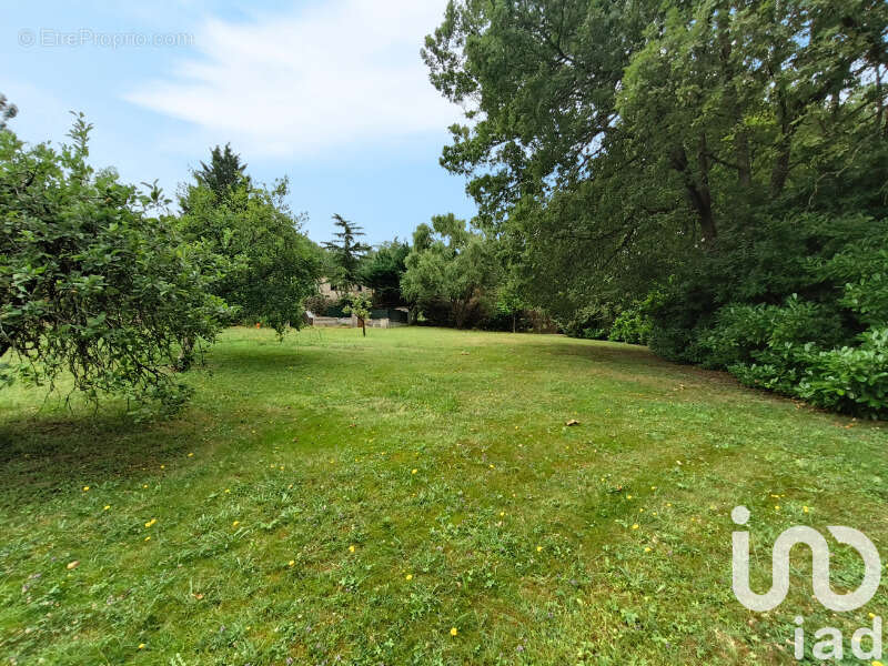 Photo 2 - Terrain à BOULOC