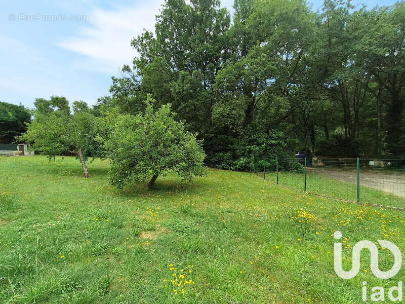 Photo 5 - Terrain à BOULOC