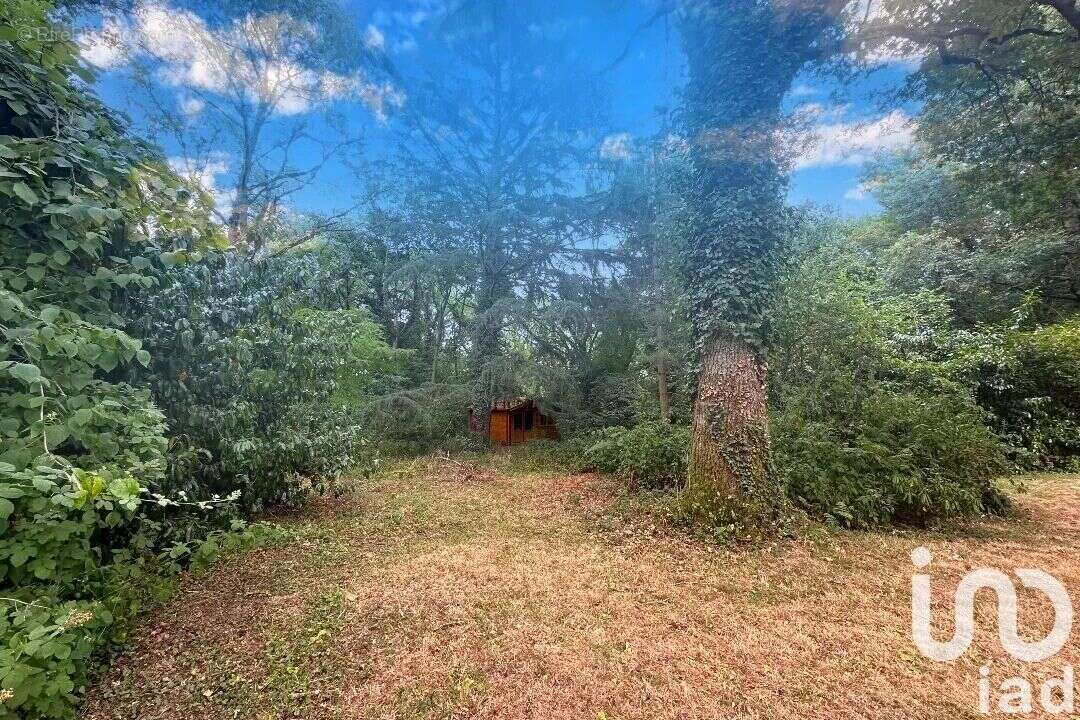 Photo 6 - Maison à PALAISEAU