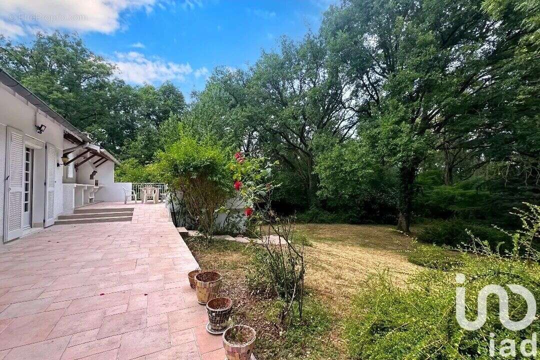 Photo 9 - Maison à PALAISEAU