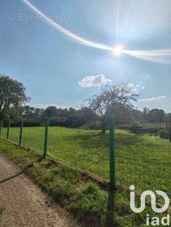 Photo 3 - Terrain à THIONVILLE