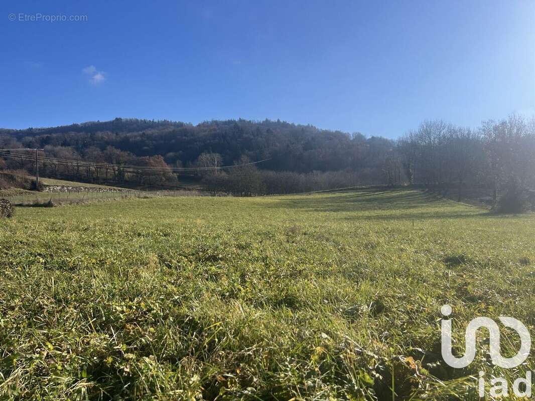 Photo 2 - Terrain à LA CHAPELLE-BLANCHE